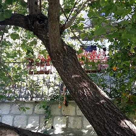 Cusanarella Mia Cusano Mutri