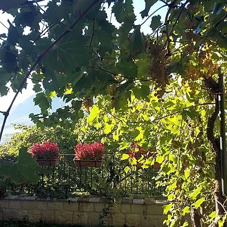 Cusanarella Mia Bed & Breakfast