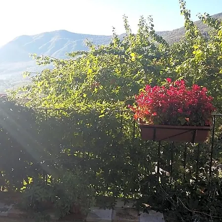 Cusanarella Mia Bed & Breakfast 3*
