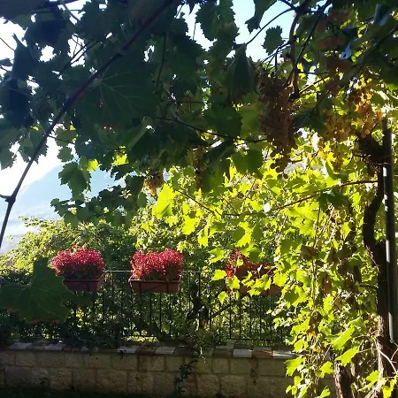 Cusanarella Mia Cusano Mutri